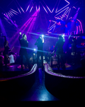 Premium Nightclub Tour